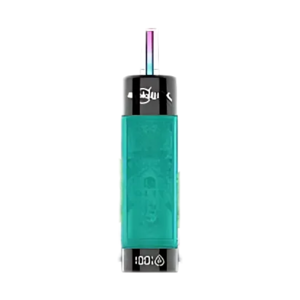 Hookalit X 20K Puffs Disposable Vape in Gum Mint flavour with sleek body, rechargeable battery, and mesh coil long-lasting vape with cool minty gum taste.